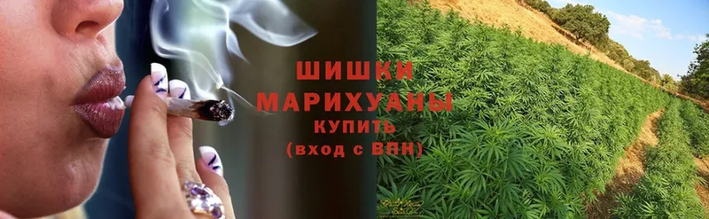 Конопля OG Kush  маркетплейс клад  Белый 